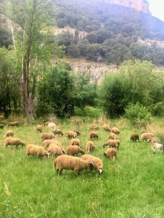 Apartamento Rural La Cascada De Calmarza Kültér fotó