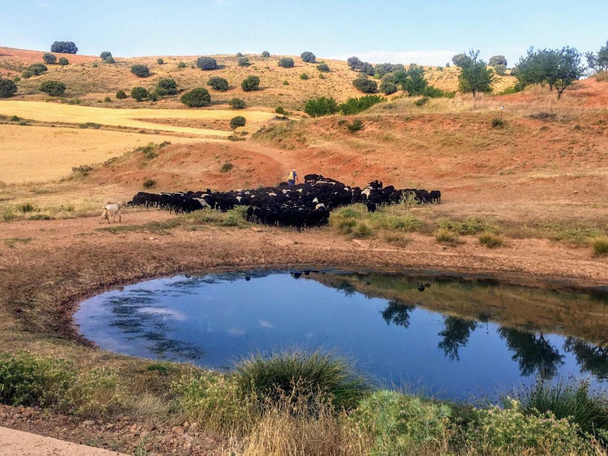 Apartamento Rural La Cascada De Calmarza Kültér fotó