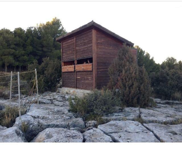 Apartamento Rural La Cascada De Calmarza Kültér fotó